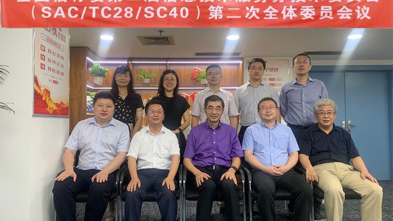 信息技术服务外包：揭秘其优缺点与决策要点